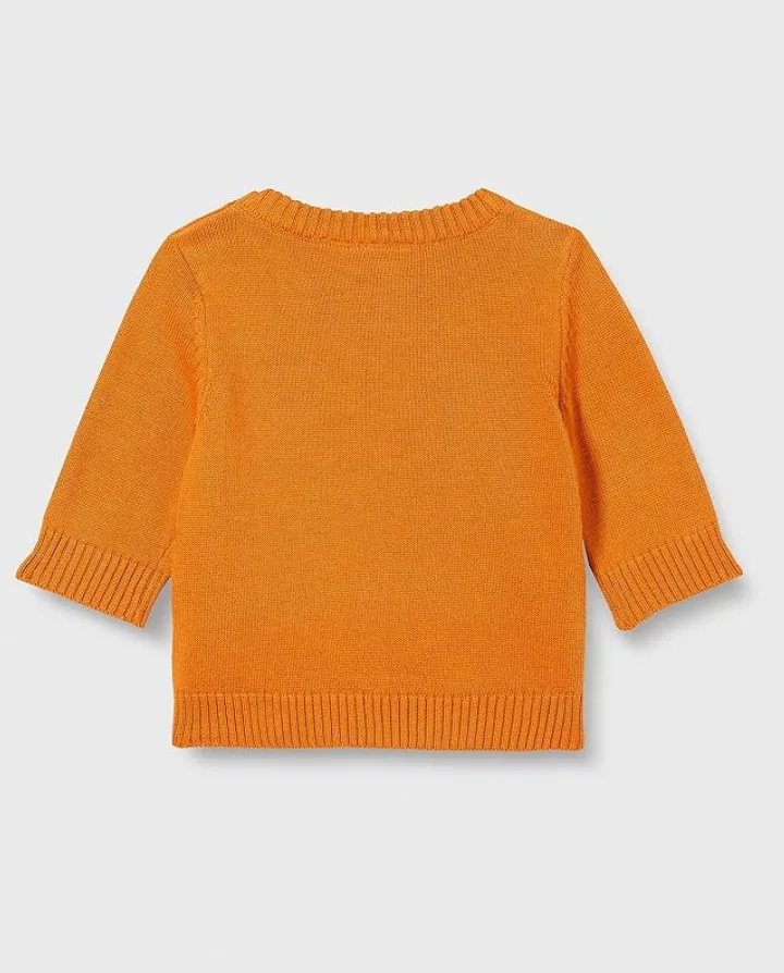 Royal Color Block Sweater for Smart Baby Boy Looks Hover Image